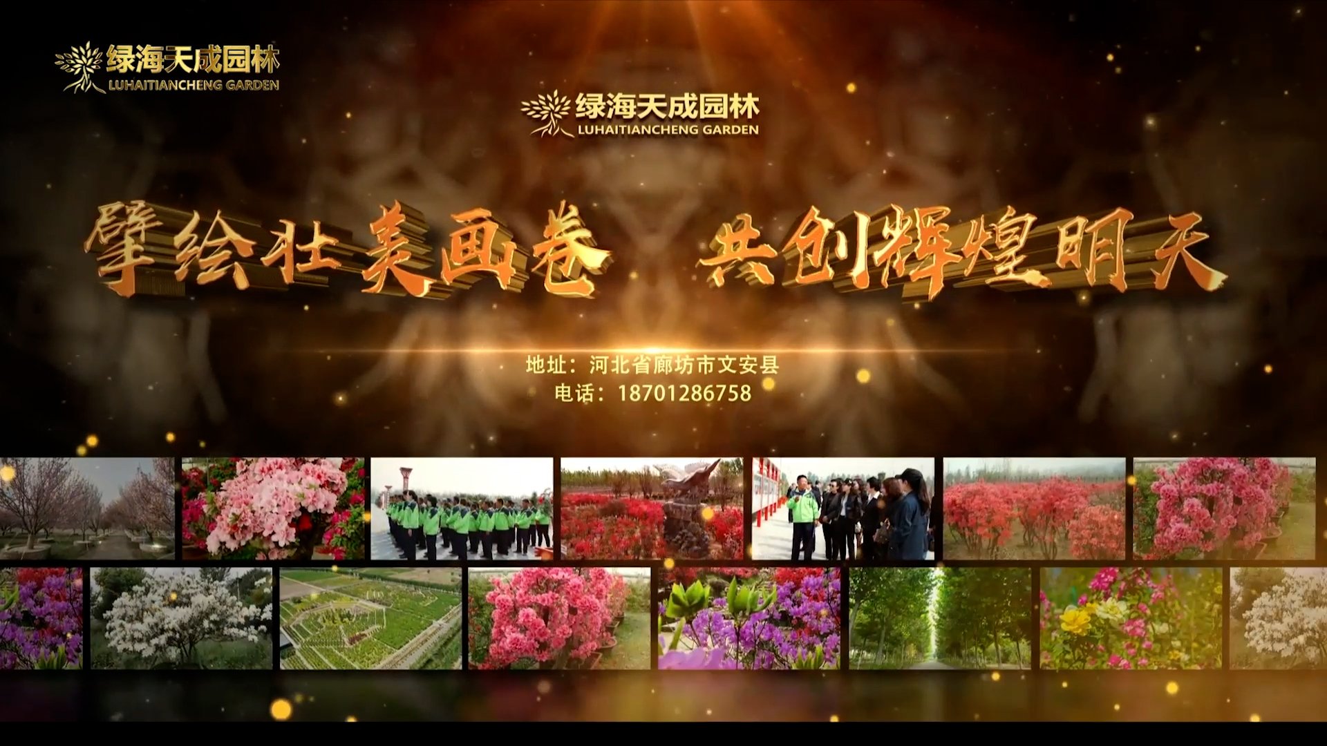 企业力量